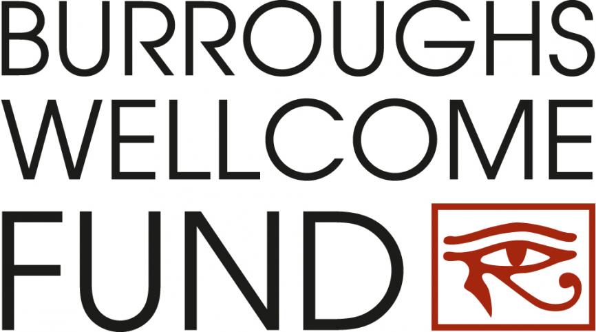 Burroughs Wellcome Funds